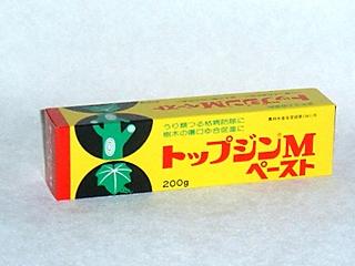 トップジンＭペースト　２００ｇ