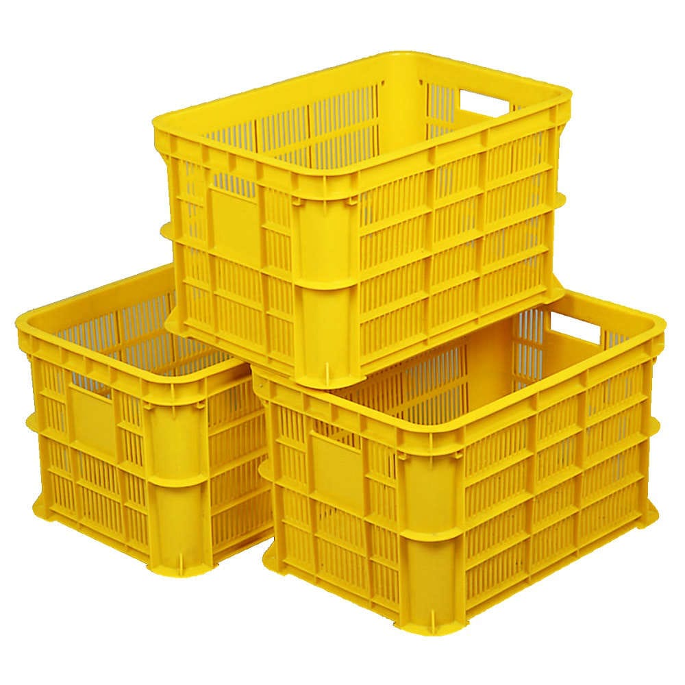 採集コンテナ　底ベタ