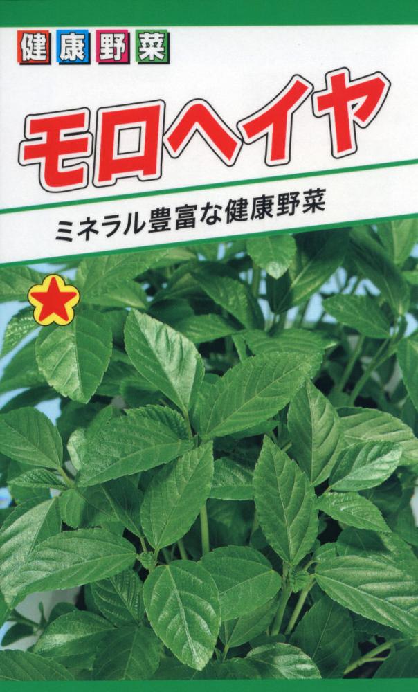 中国野菜種子　健康野菜　モロヘイヤ