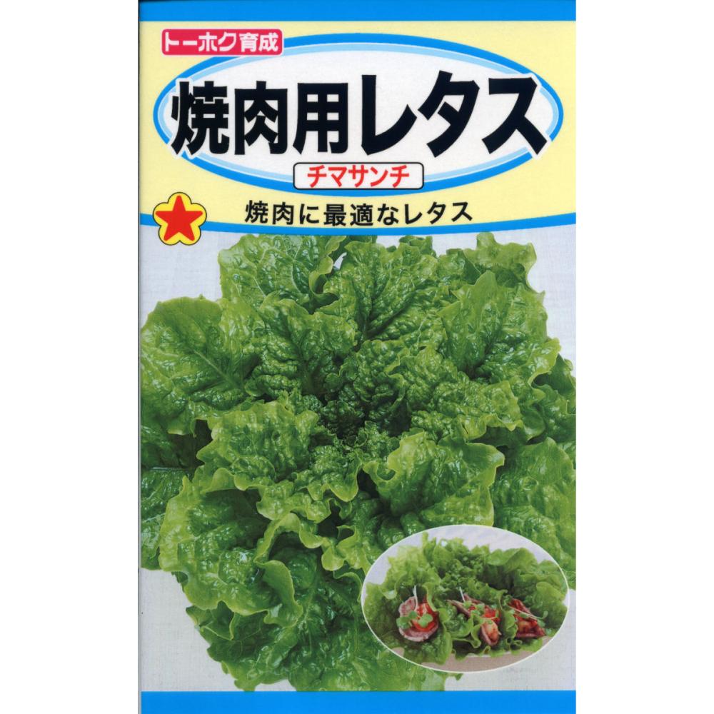 レタス種子　焼肉用チマサンチ