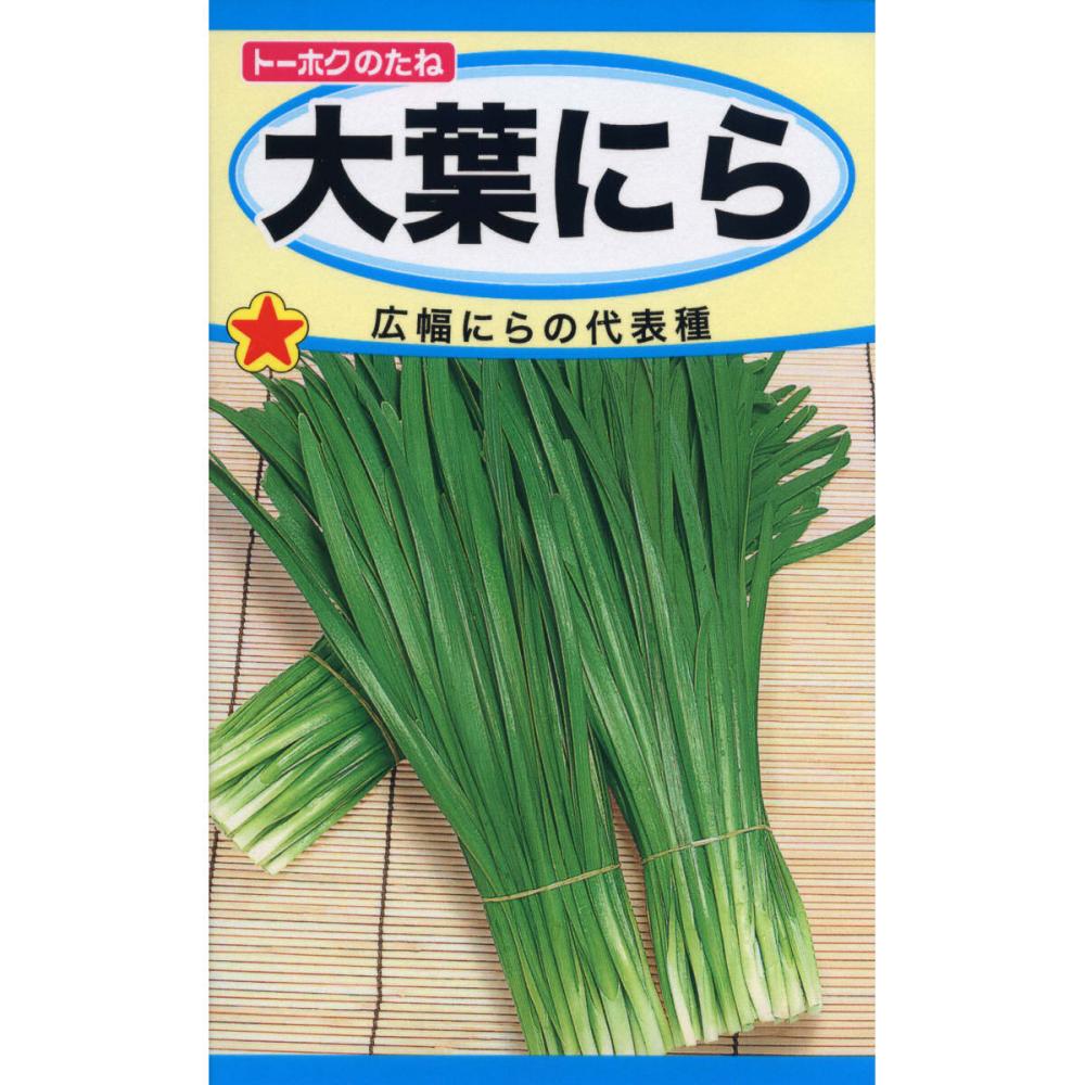葉菜種子　大葉にら