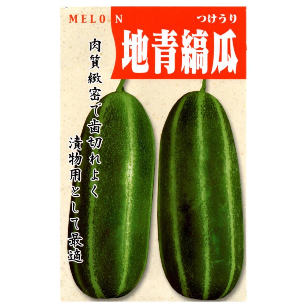 ウリ種子　ほんしま瓜（奈良漬瓜）