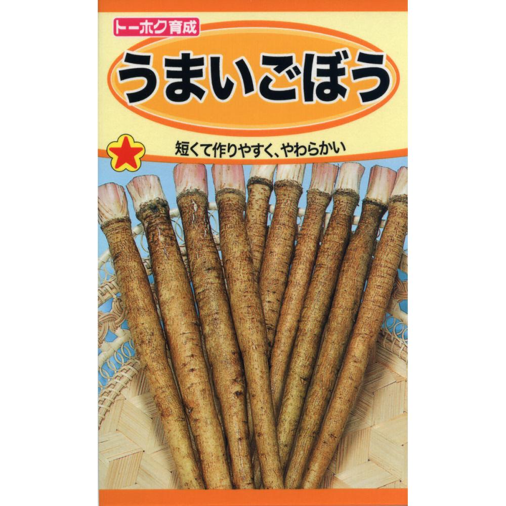 ゴボウ種子　うまいごぼう