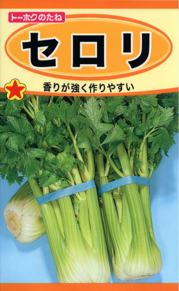 葉菜種子　セロリ