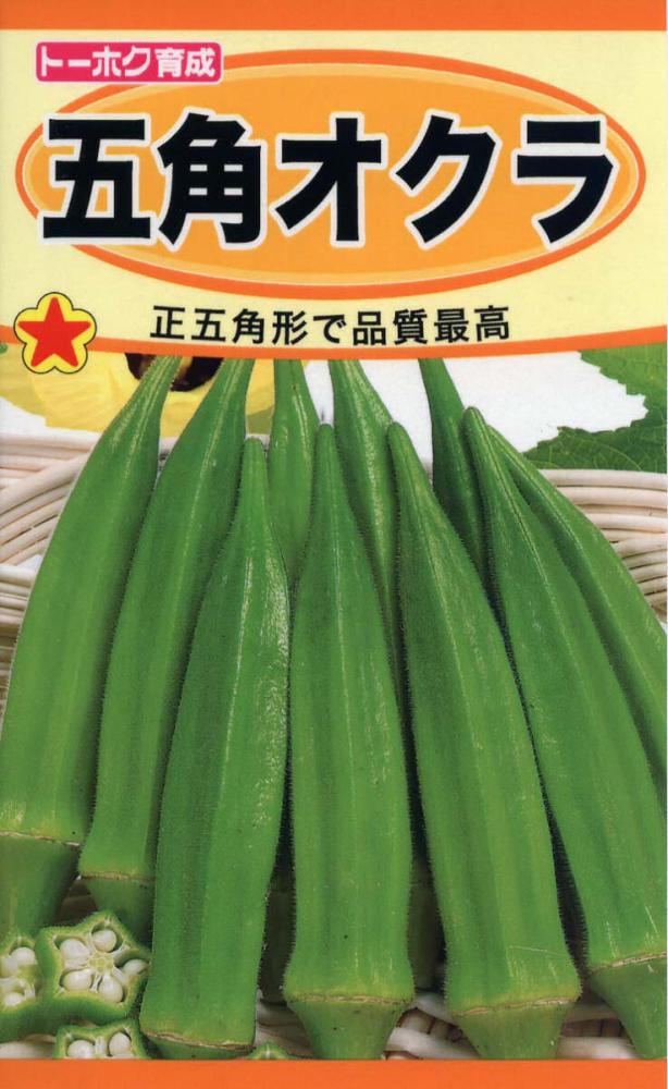 オクラ種子　五角オクラ