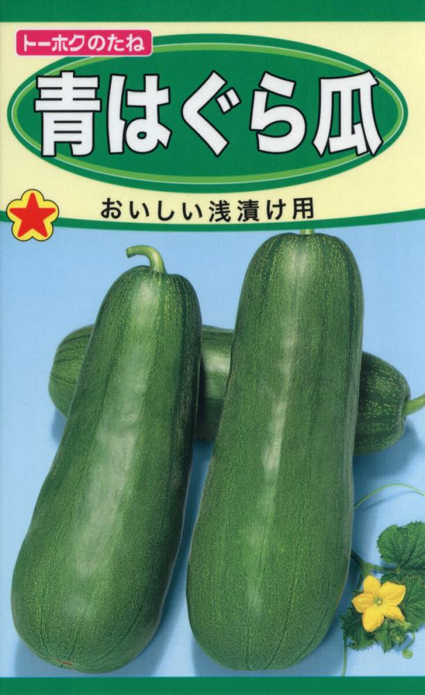 ウリ種子　青はぐら