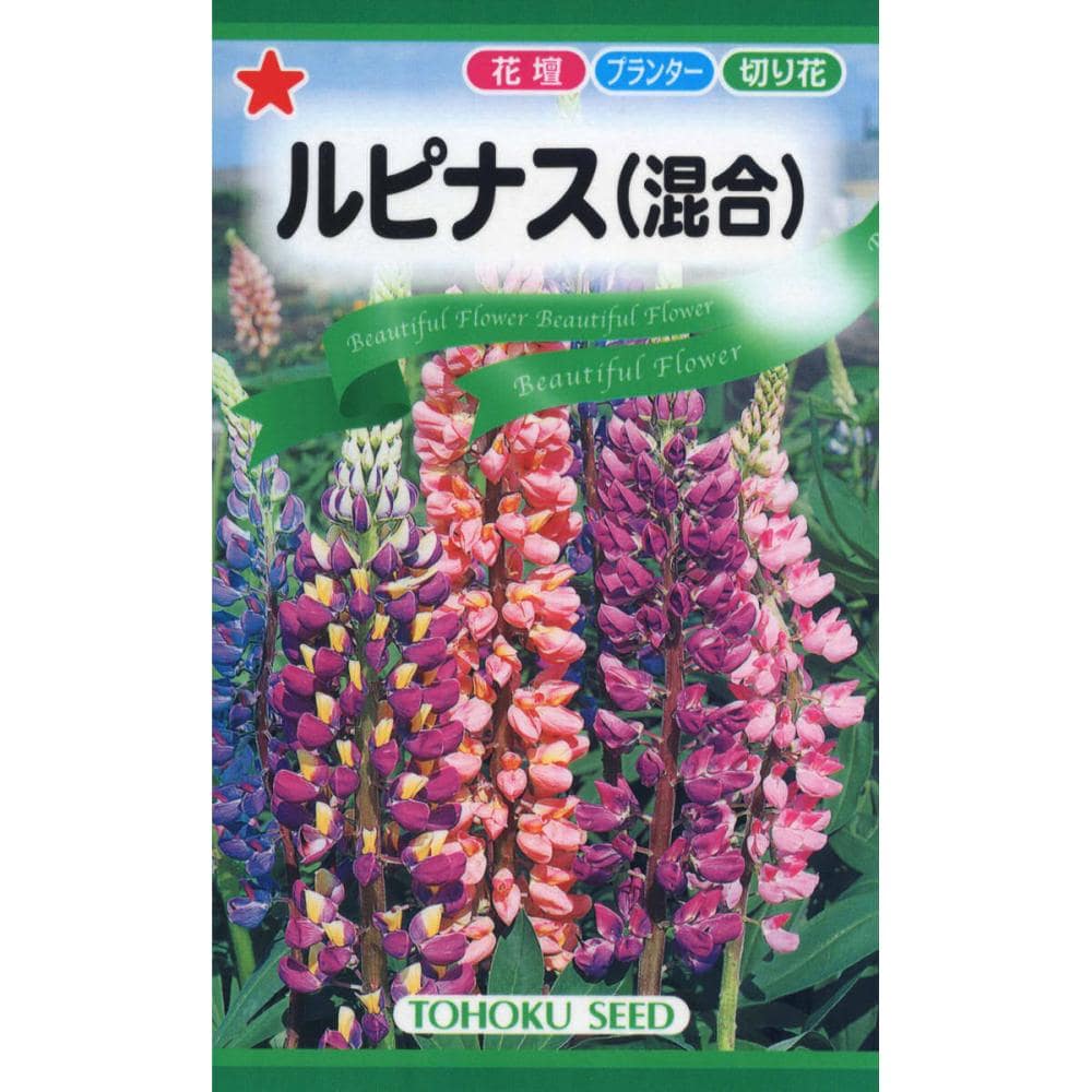 草花種子　ルピナス（混合）
