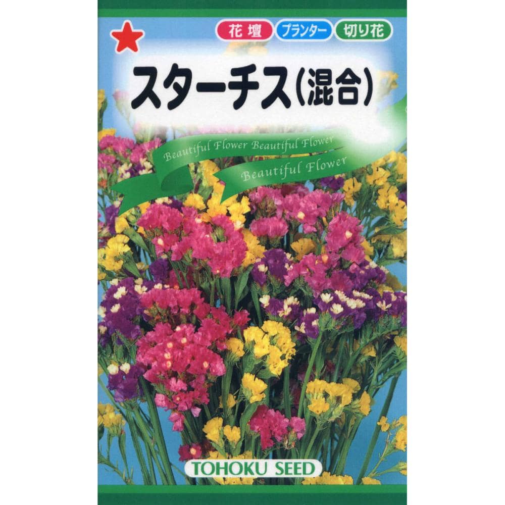 草花種子　スターチス（混合）