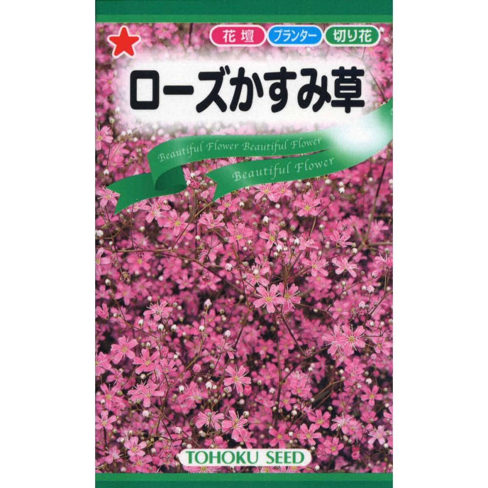 草花種子　ローズかすみ草