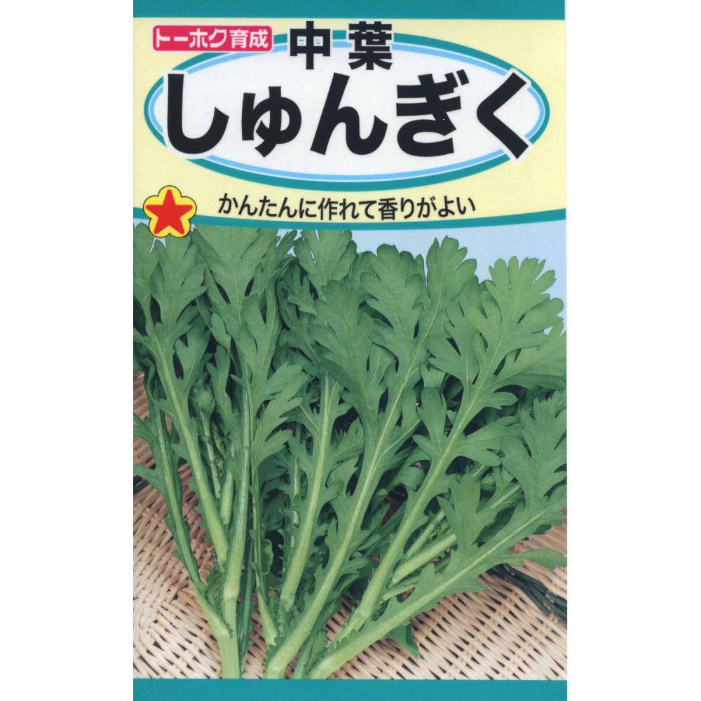 シュンギク種子　シュンギク　中葉しゅんぎく
