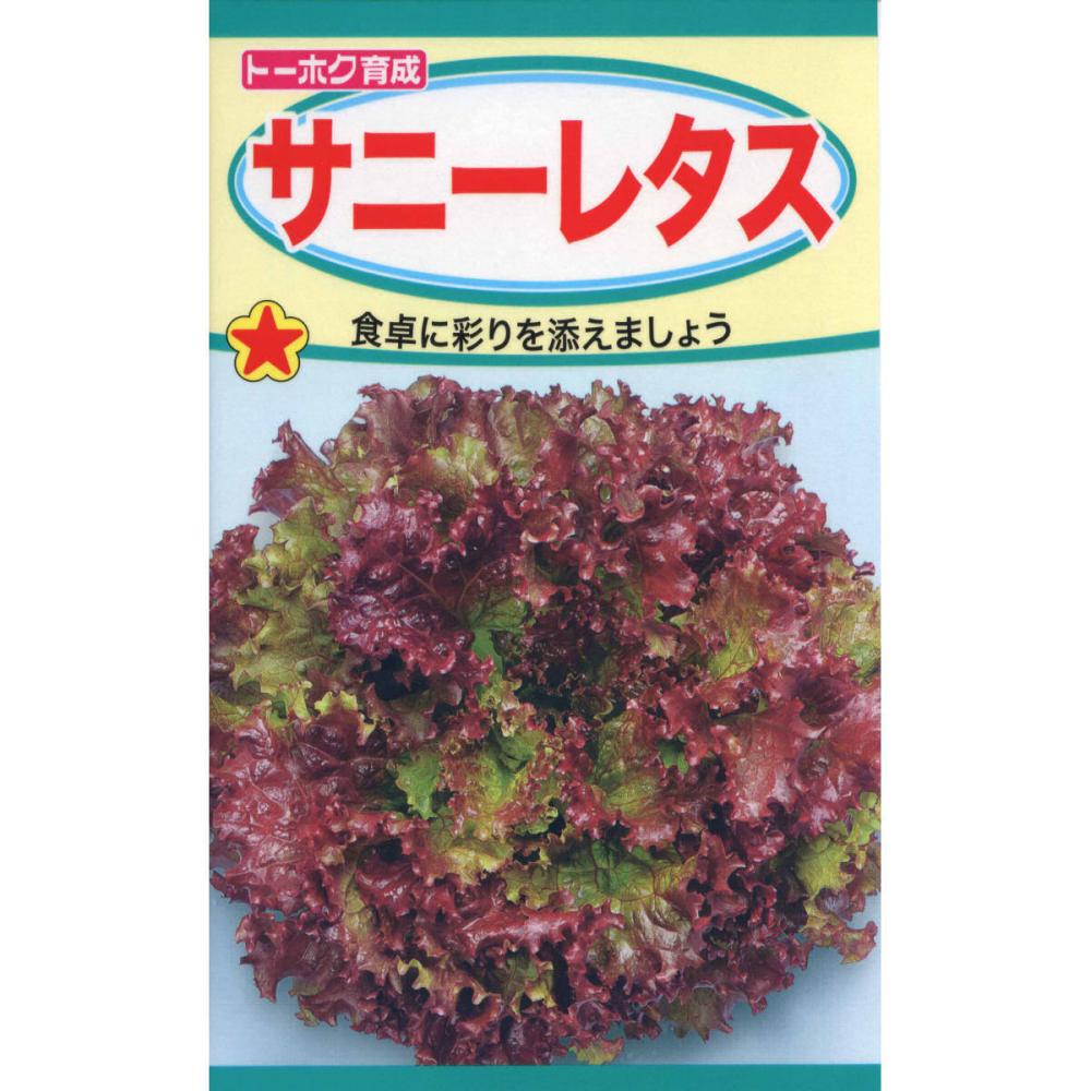 レタス種子　サニーレタス