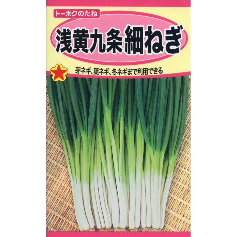 ネギ種子　浅黄九条細