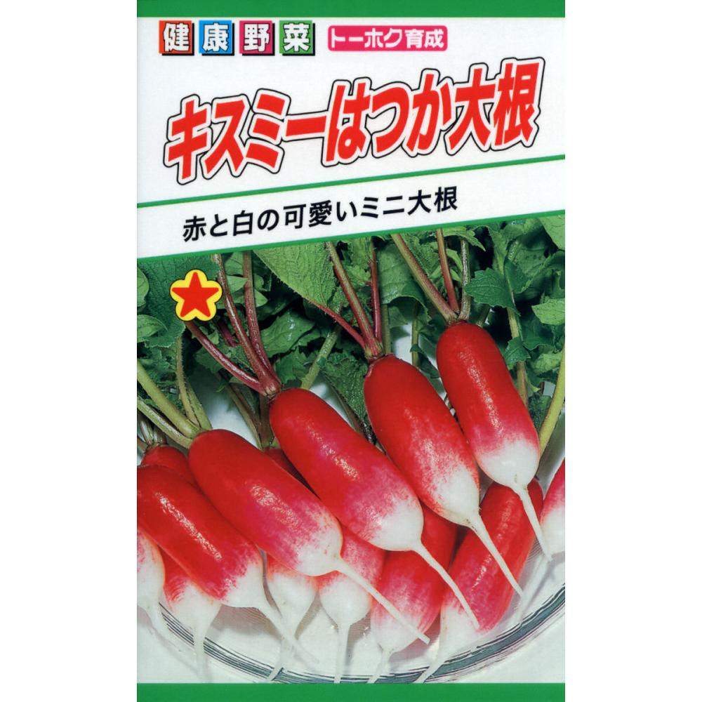 ハツカダイコン種子　キスミーはつか大根