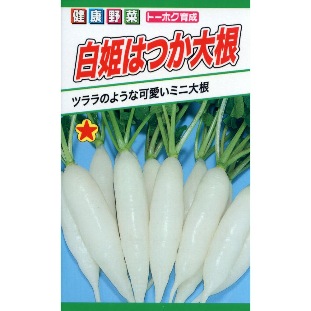 ハツカダイコン種子　白姫はつか大根