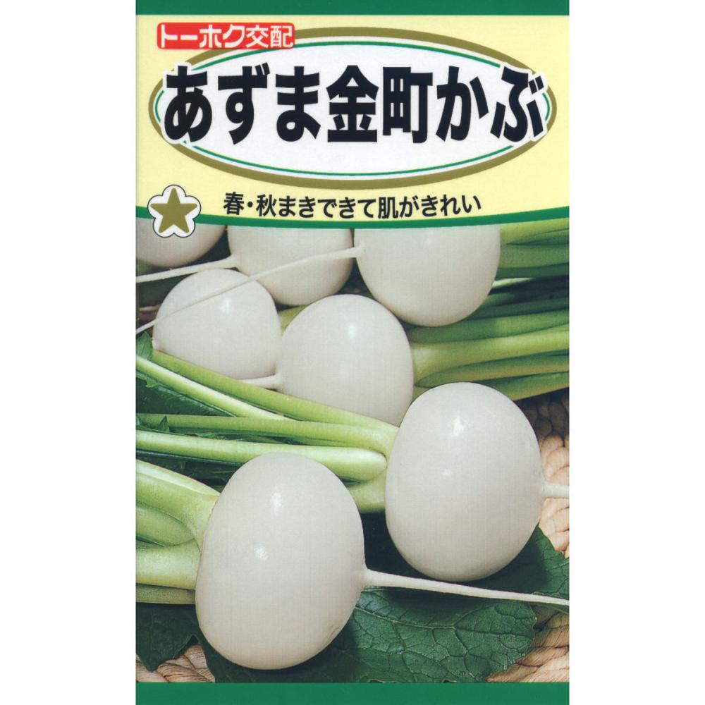 カブ種子　Ｆ１あずま金町かぶ