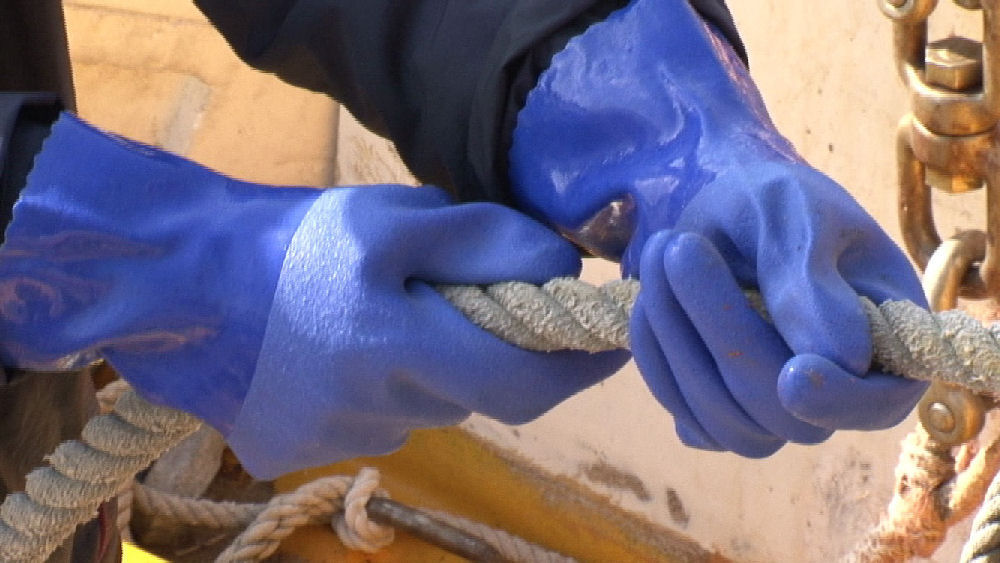 耐油ビニローブ　Ｌ