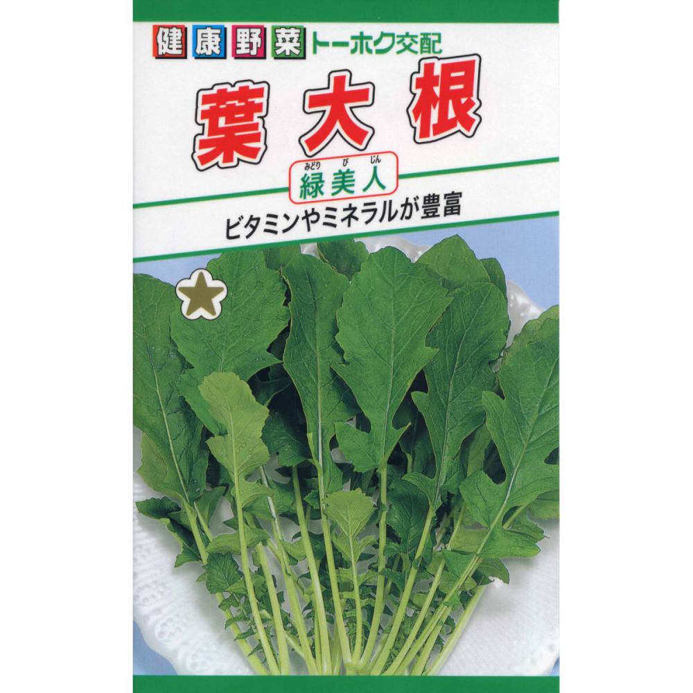 葉ダイコン種子　葉大根　緑美人