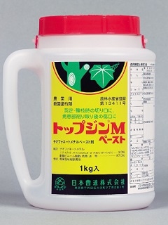 トップジンＭペースト　１ｋｇ