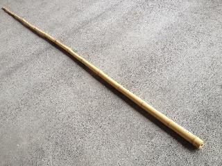 白竹　約４００ｃｍ