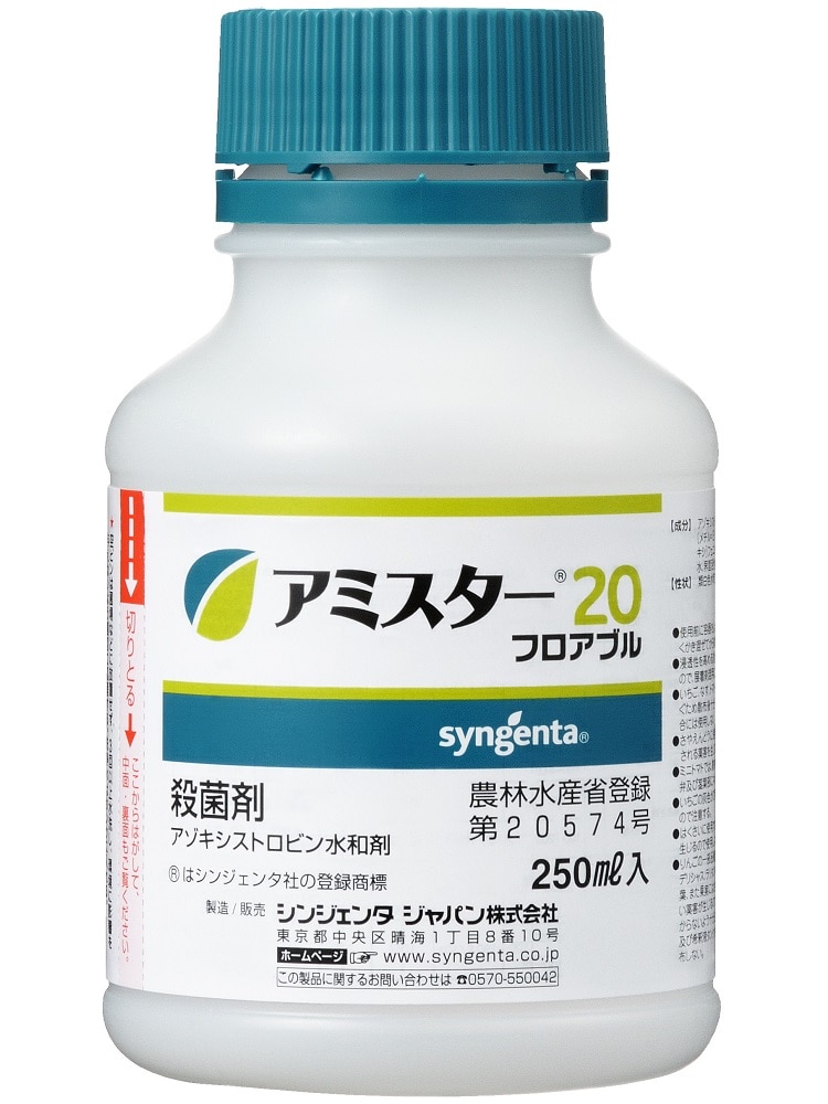アミスター２０フロアブル　２５０ｍＬ