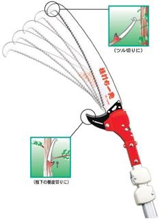 ニシガキ　枝打ち一発　Ｎ－７６１　４ｍ