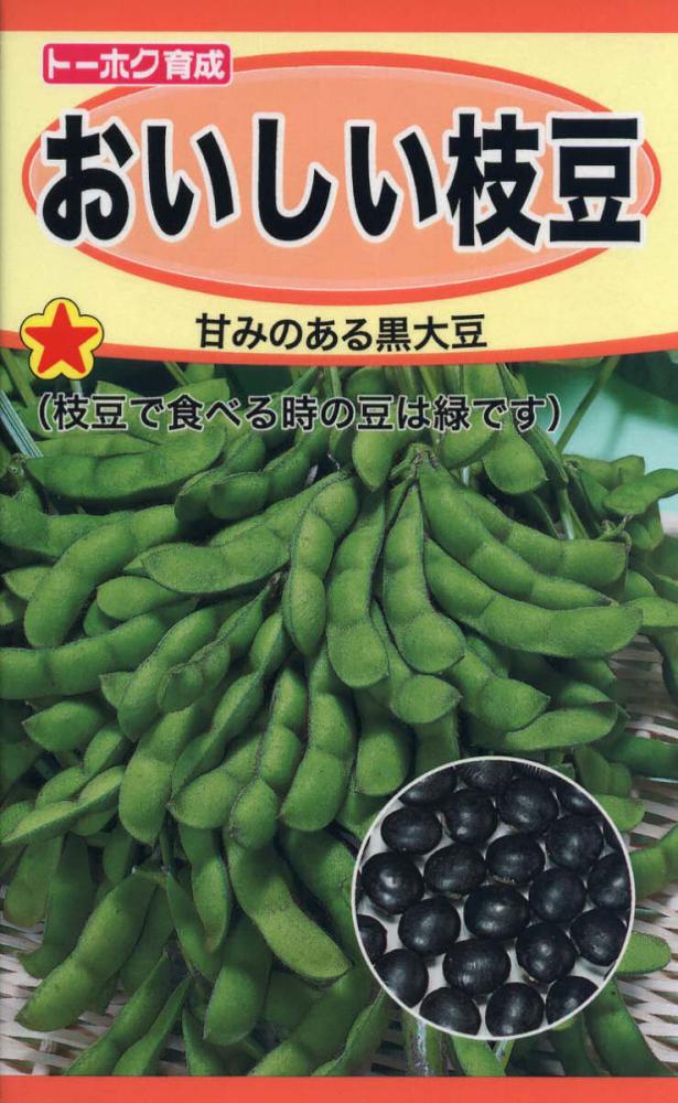 エダマメ種子　おいしい枝豆