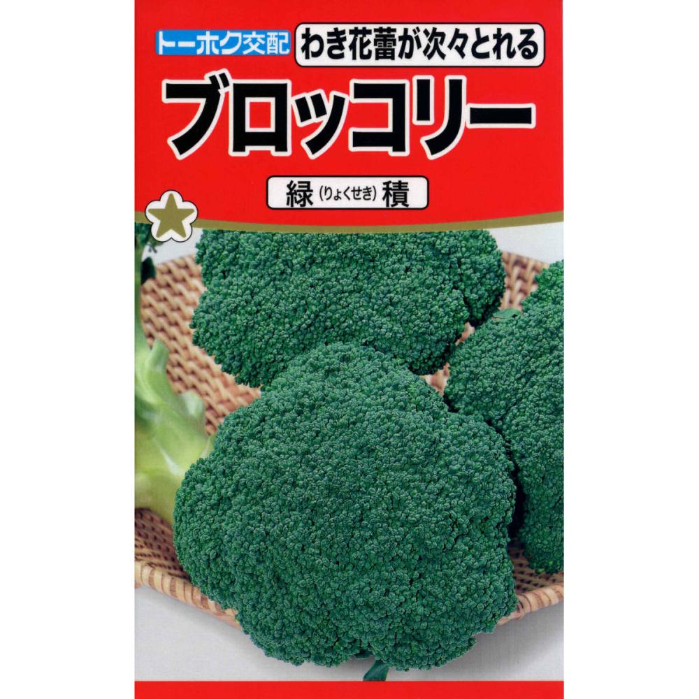 ブロッコリー種子　Ｆ１緑積