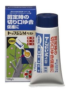 住友化学　トップジンＭペースト　１００ｇ
