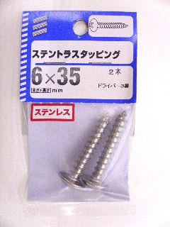 ステントラスタッピング　６×３５　２本