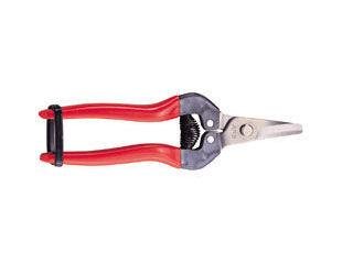 アルス　摘果鋏　３１０ＤＸ（箱入り）