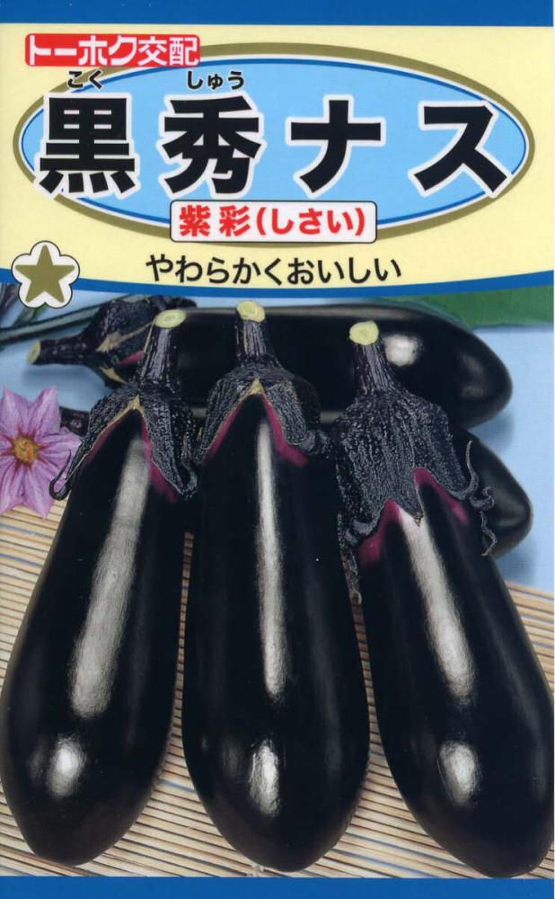 ナス種子　Ｆ１黒秀ナス　紫彩