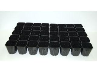 システムポット　黒　７．５ｃｍ　４０Ｐ