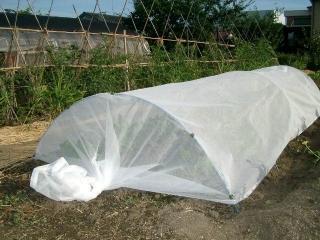 寒冷紗　白　１．８ｍ×５０ｍ