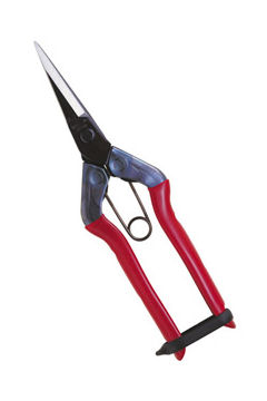 近正　芽切鋏　Ｔ－５５０ＢＰ