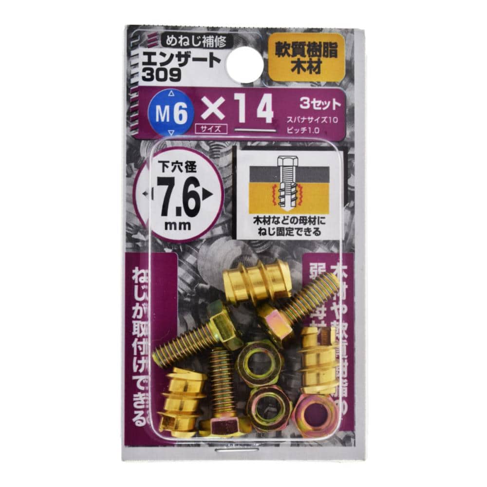 エンザート３０９　Ｍ６