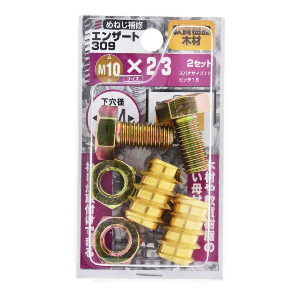 エンザート３０９　Ｍ１０