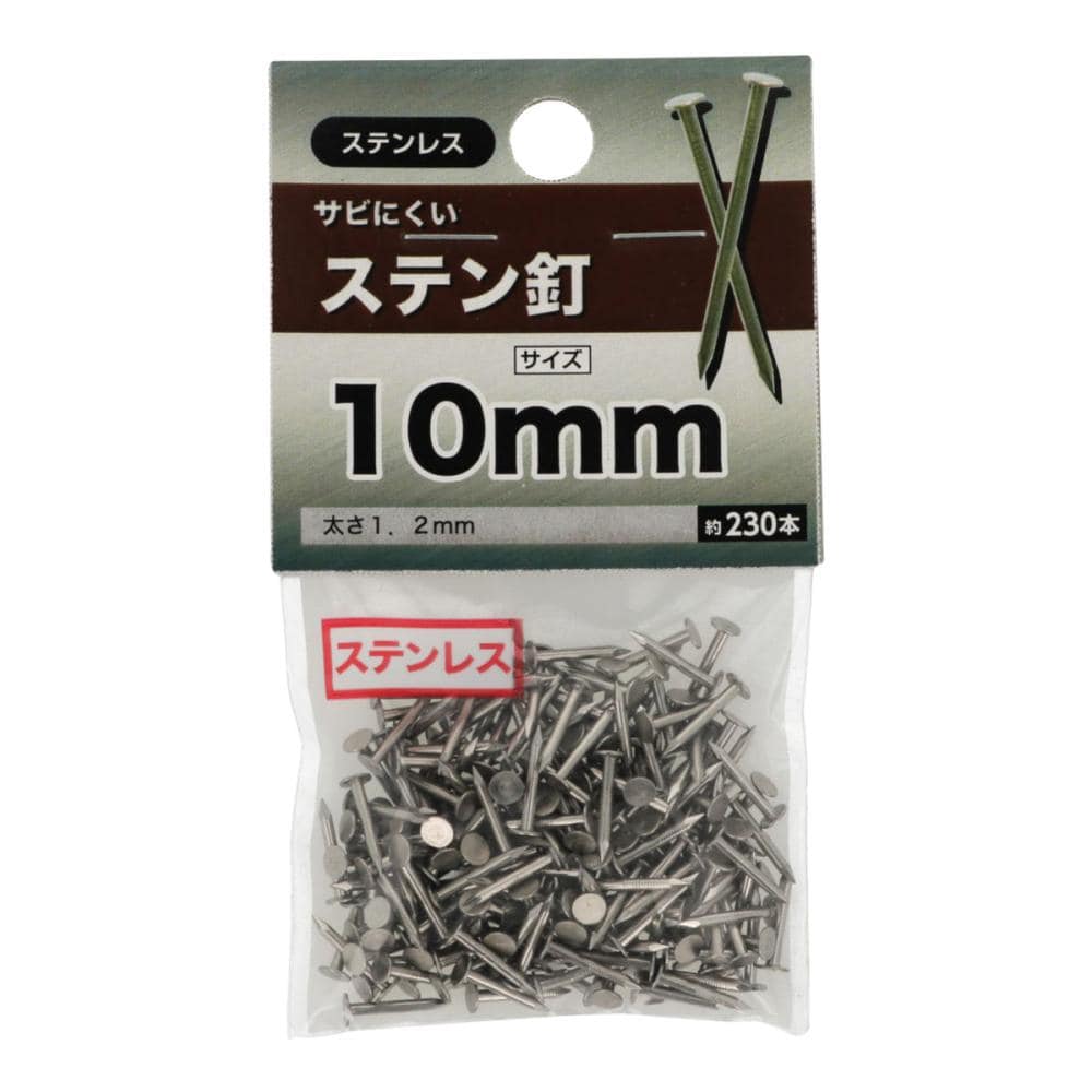 ステン釘　１０ｍｍ