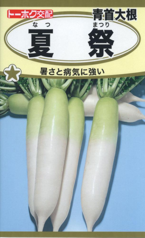 ダイコン種子　ダイコン　Ｆ１青首総太　夏祭