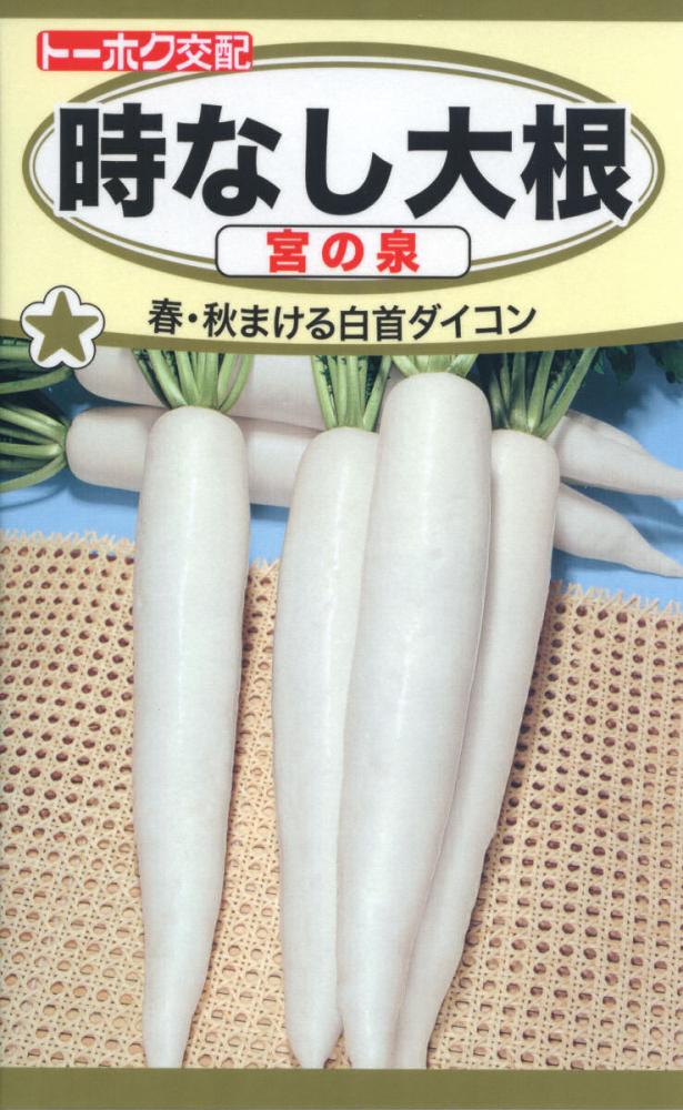 ダイコン種子　ダイコン　Ｆ１時なし大根　宮の泉