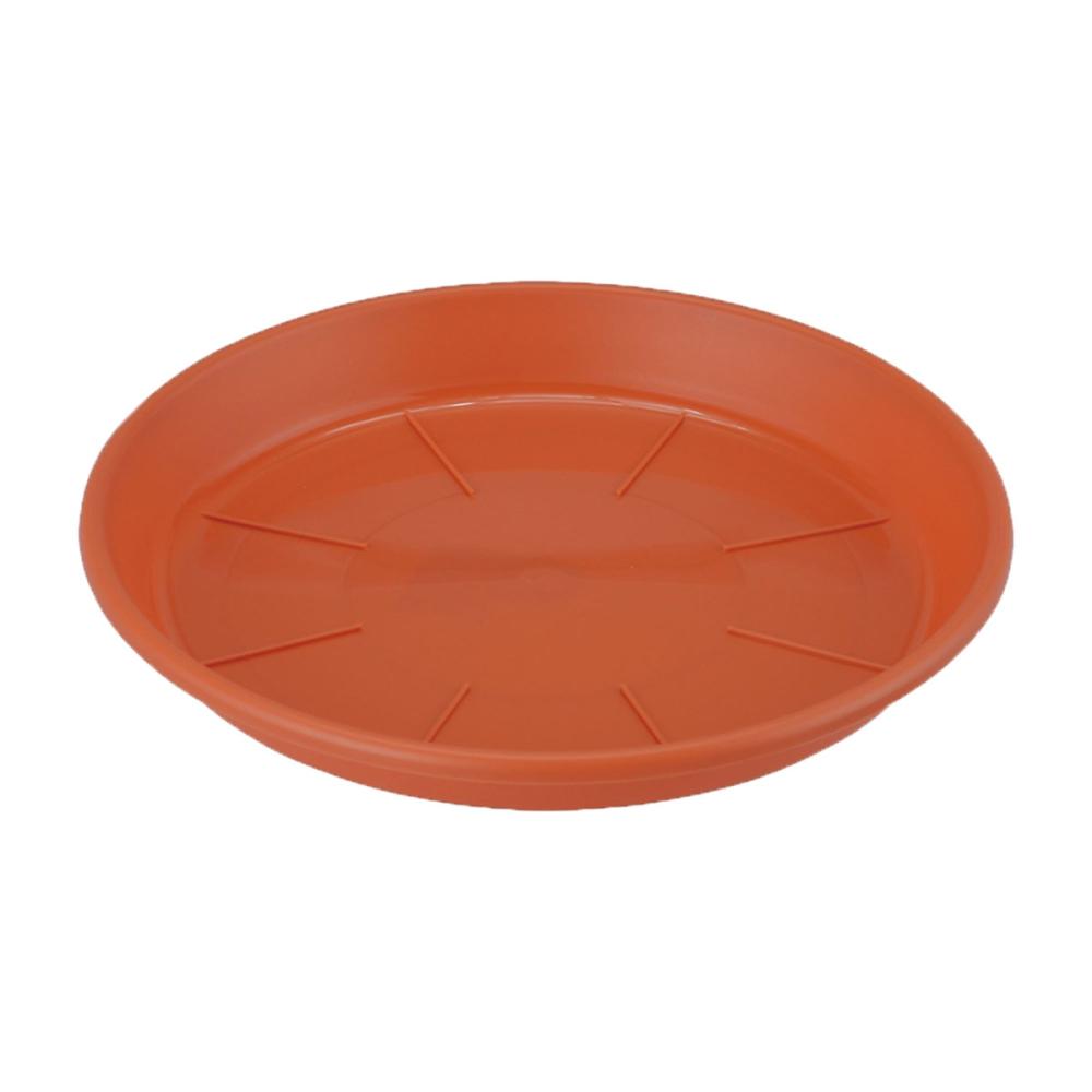 浅皿ＡＰ　テラコッタ　７号