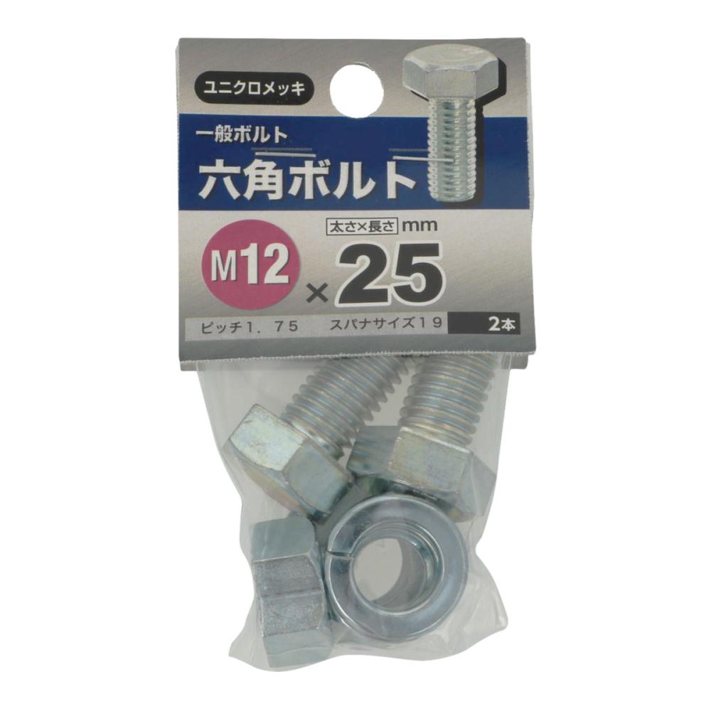 六角ボルト１２×２５