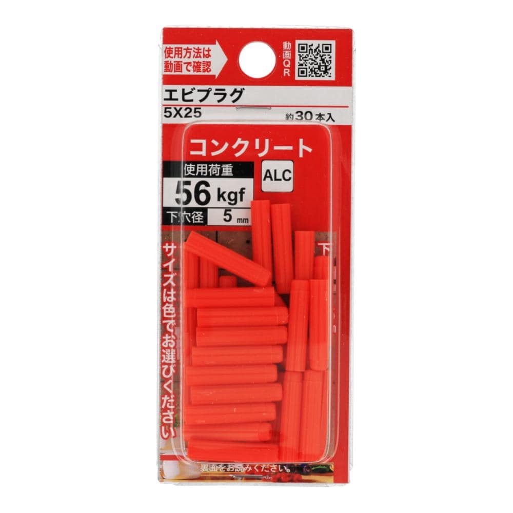 エビプラグ　５×２５