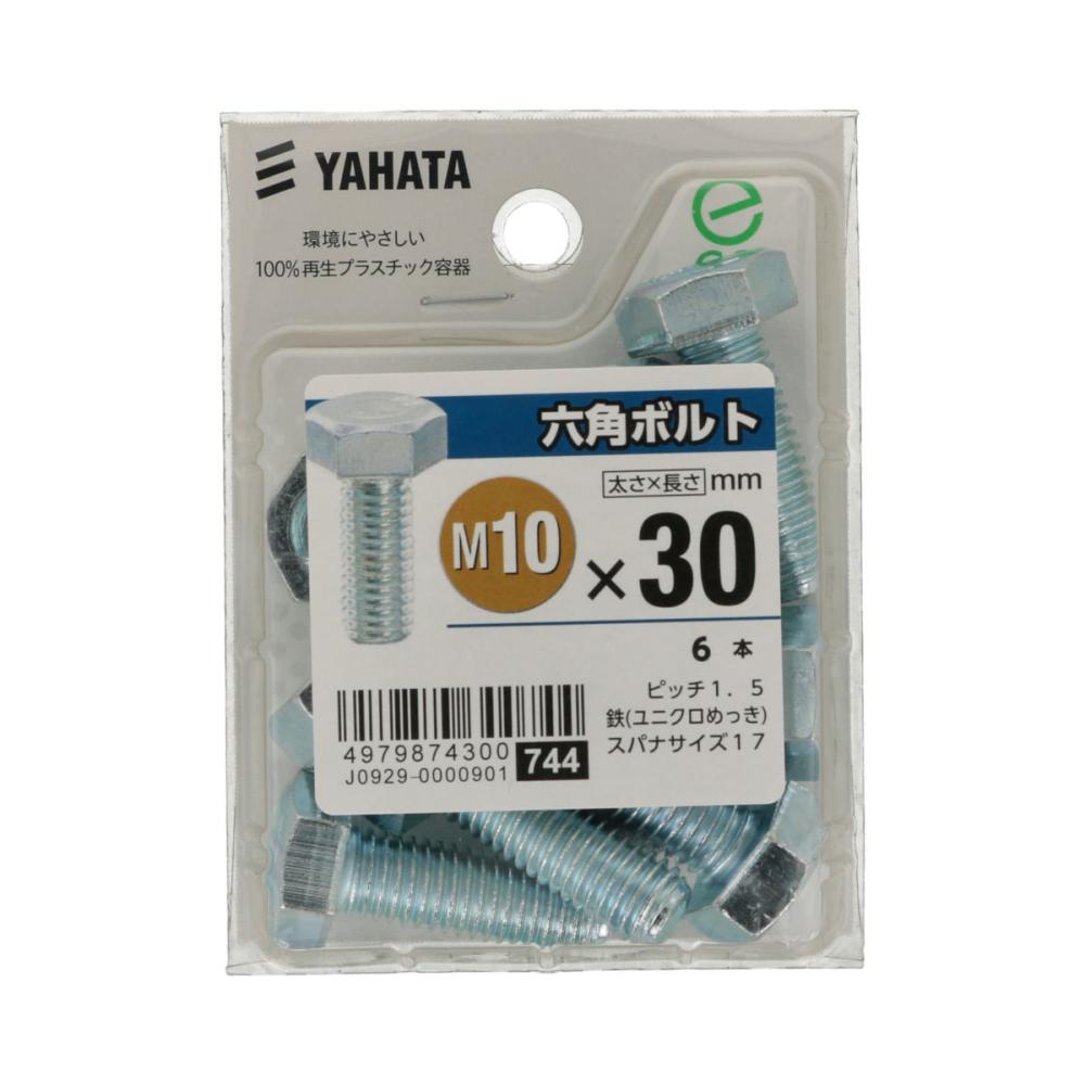 六角ボルト（中）１０×３０