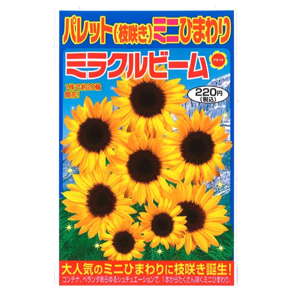ヒマワリ種子　パレットミニひまわり　ミラクルビーム
