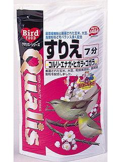 クオリス　すりえ　７分