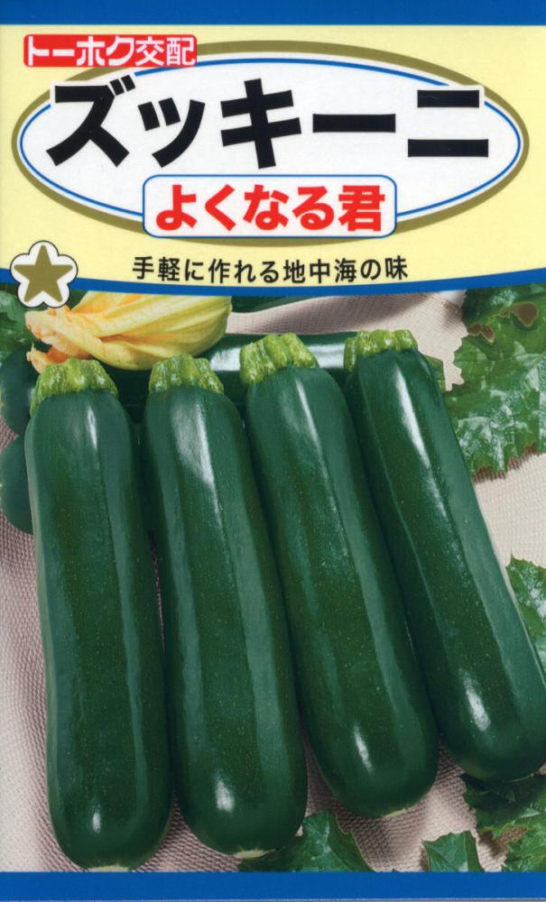 ズッキーニ種子　Ｆ１ズッキーニ　よくなる君