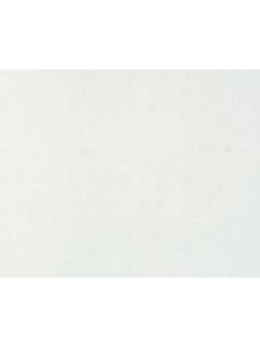 のきてんカラー合板　ＫＴ－５　ホワイト