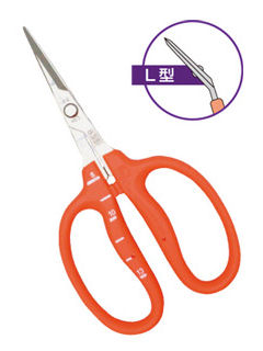 近正　ステンレスぶどう手入鋏　Ｂ－５００Ｌ