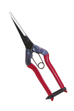 近正　芽切鋏　ロング　Ｔ－５７０