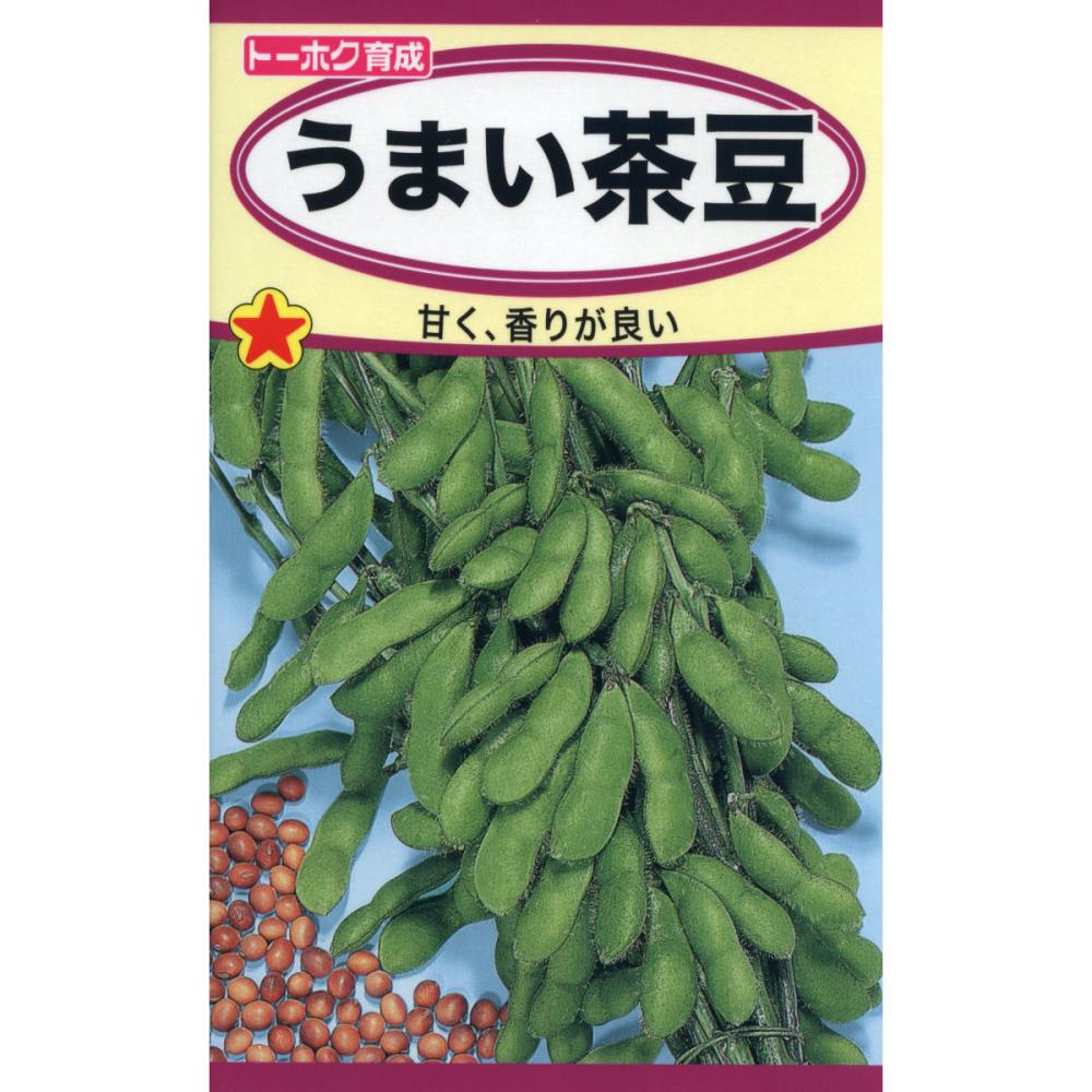 エダマメ種子　エダマメ　うまい茶豆
